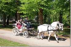 Hochzeitskutsche